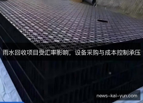 雨水回收项目受汇率影响,设备采购与成本控制承压 雨水回收项目受汇率影响,设备采购与成本控制承压